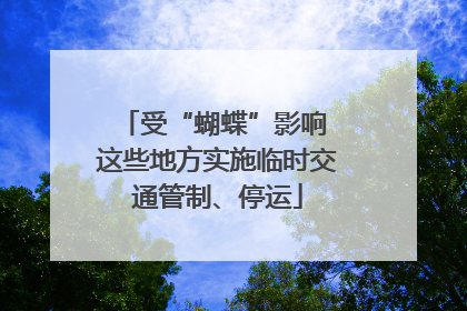 受“蝴蝶”影响 这些地方实施临时交通管制、停运
