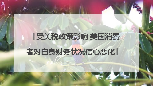 受关税政策影响 美国消费者对自身财务状况信心恶化