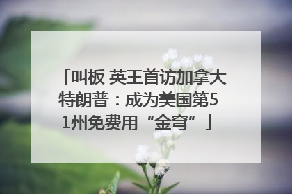 叫板 英王首访加拿大 特朗普：成为美国第51州免费用“金穹”