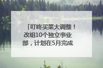 叮咚买菜大调整！改组10个独立事业部，计划在5月完成App端全面改版