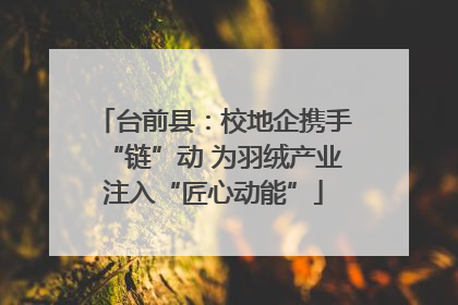 台前县：校地企携手“链”动 为羽绒产业注入“匠心动能”