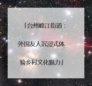 台州峰江街道：外国友人沉浸式体验乡村文化魅力