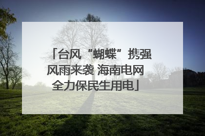 台风“蝴蝶”携强风雨来袭 海南电网全力保民生用电
