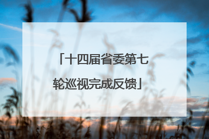 十四届省委第七轮巡视完成反馈