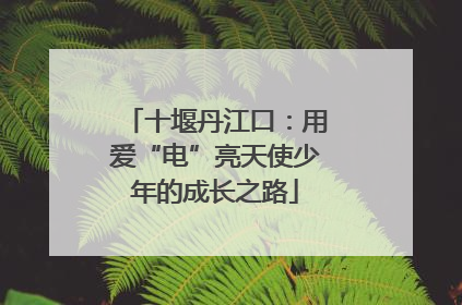 十堰丹江口：用爱“电”亮天使少年的成长之路