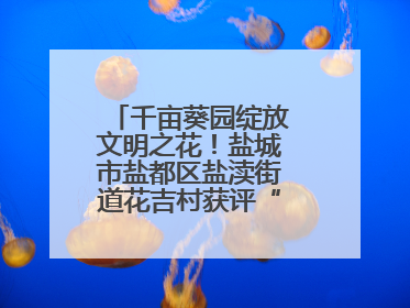 千亩葵园绽放文明之花！盐城市盐都区盐渎街道花吉村获评“全国文明村”