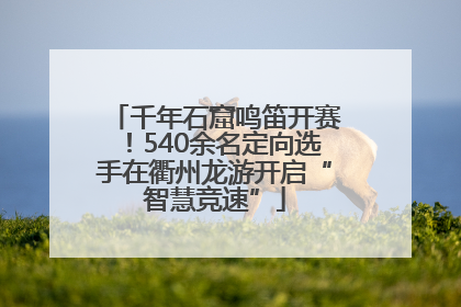 千年石窟鸣笛开赛！540余名定向选手在衢州龙游开启“智慧竞速”