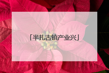 半扎古镇产业兴