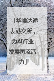 华曦达递表港交所，为AI行业发展再添活力