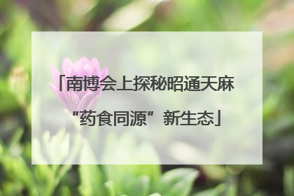 南博会上探秘昭通天麻“药食同源”新生态