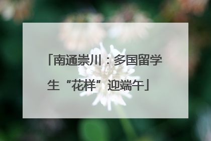 南通崇川：多国留学生“花样”迎端午