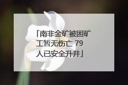 南非金矿被困矿工暂无伤亡 79人已安全升井