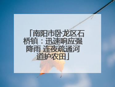 南阳市卧龙区石桥镇：迅速响应强降雨 连夜疏通河道护农田