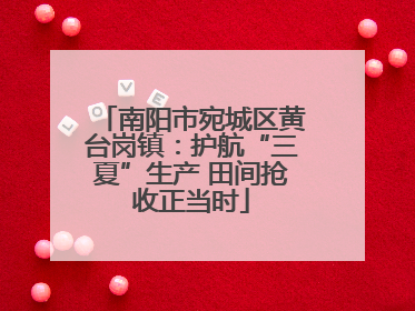 南阳市宛城区黄台岗镇：护航“三夏”生产 田间抢收正当时