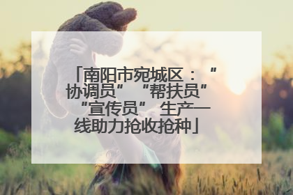 南阳市宛城区：“协调员”“帮扶员”“宣传员” 生产一线助力抢收抢种