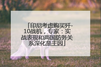 印尼考虑购买歼-10战机，专家：实战表现和两国防务关系深化是主因