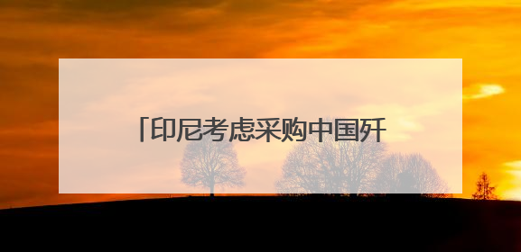 印尼考虑采购中国歼-10战斗机，正评估性能与成本优势