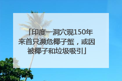 印度一洞穴现150年来首只濒危椰子蟹，或因被椰子和垃圾吸引