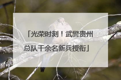 光荣时刻！武警贵州总队千余名新兵授衔
