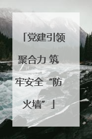 党建引领聚合力 筑牢安全“防火墙”