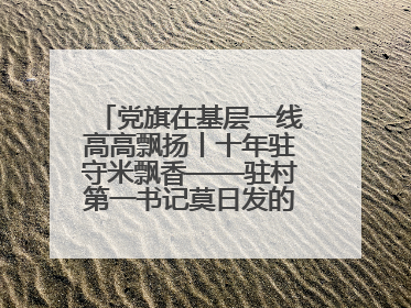 党旗在基层一线高高飘扬丨十年驻守米飘香——驻村第一书记莫日发的乡村印记