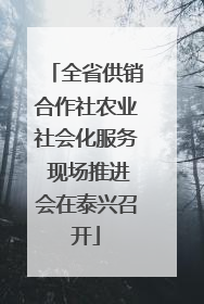 全省供销合作社农业社会化服务 现场推进会在泰兴召开