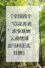 全国首个“以花养老”农业基地 云南绣球盒马村正式挂牌