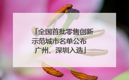 全国首批零售创新示范城市名单公布 广州、深圳入选