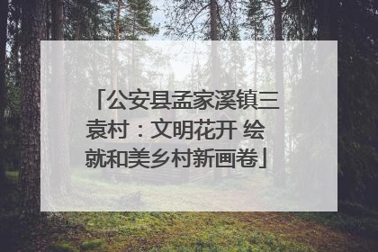公安县孟家溪镇三袁村：文明花开 绘就和美乡村新画卷