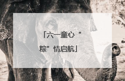六一童心“粽”情启航