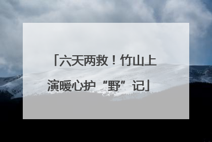 六天两救！竹山上演暖心护“野”记