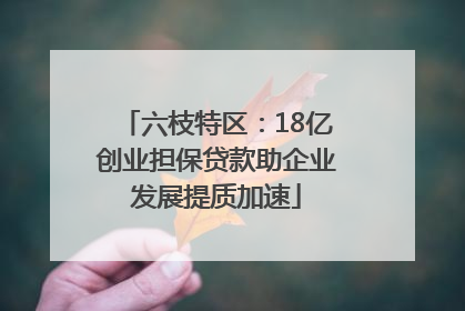 六枝特区：18亿创业担保贷款助企业发展提质加速