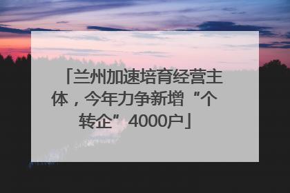 兰州加速培育经营主体，今年力争新增“个转企”4000户