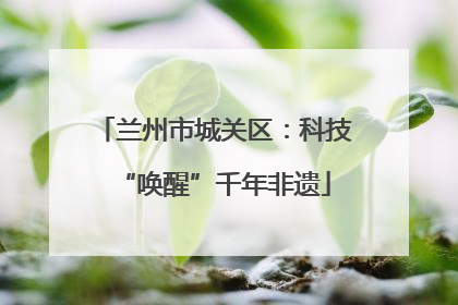 兰州市城关区：科技“唤醒”千年非遗