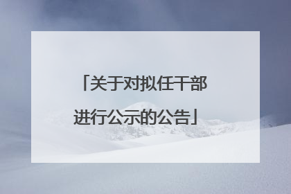 关于对拟任干部进行公示的公告