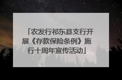 农发行祁东县支行开展《存款保险条例》施行十周年宣传活动