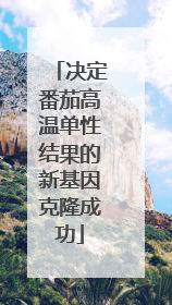 决定番茄高温单性结果的新基因克隆成功