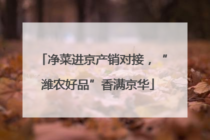 净菜进京产销对接，“潍农好品”香满京华