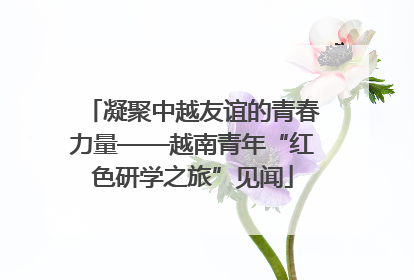 凝聚中越友谊的青春力量——越南青年“红色研学之旅”见闻