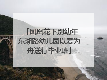 凤凰花下别幼年 东湖路幼儿园以爱为舟送行毕业班