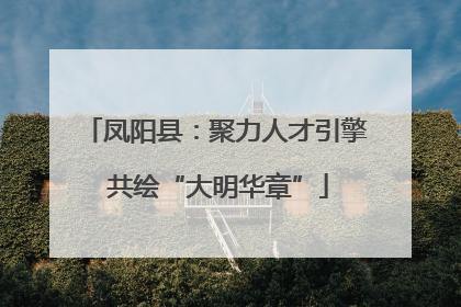 凤阳县：聚力人才引擎 共绘“大明华章”