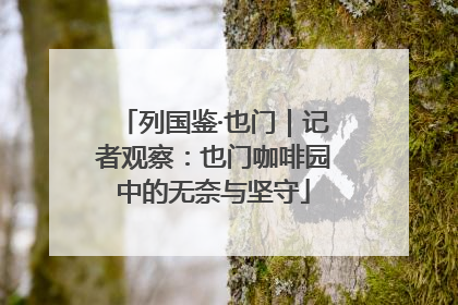 列国鉴·也门｜记者观察：也门咖啡园中的无奈与坚守