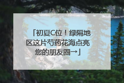 初夏C位！绿隔地区这片芍药花海点亮您的朋友圈→