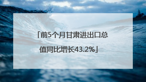 前5个月甘肃进出口总值同比增长43.2%