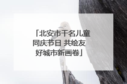 北安市千名儿童同庆节日 共绘友好城市新画卷
