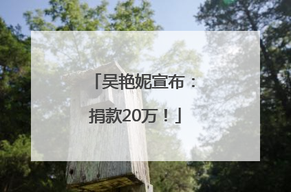 吴艳妮宣布：捐款20万！