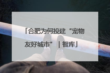 合肥为何投建“宠物友好城市”｜智库