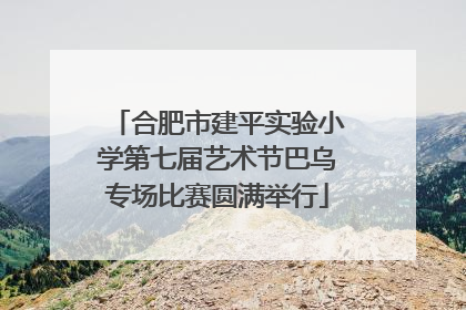 合肥市建平实验小学第七届艺术节巴乌专场比赛圆满举行