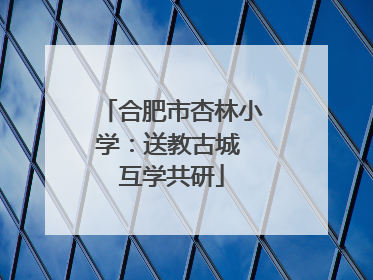 合肥市杏林小学：送教古城 互学共研
