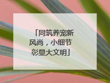 同筑养宠新风尚，小细节彰显大文明